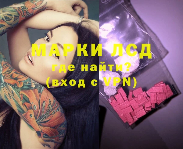 индика Арсеньев