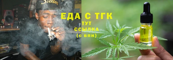 индика Арсеньев