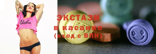 индика Арсеньев