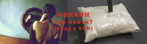 крисы Армянск