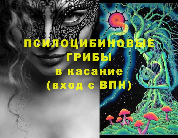 крисы Армянск