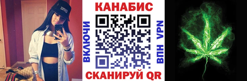 Конопля планчик  где найти   Аркадак 